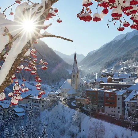 Mountain Alpine