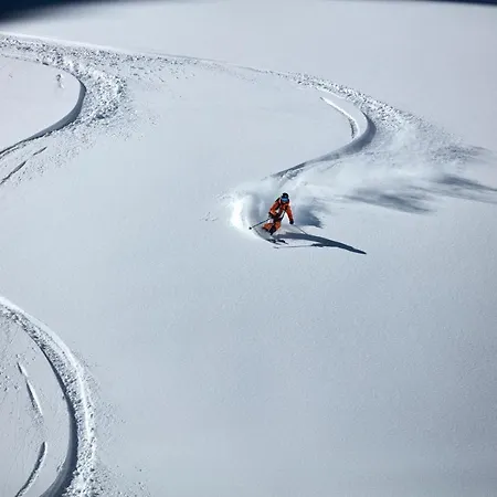 Mountain Alpine *