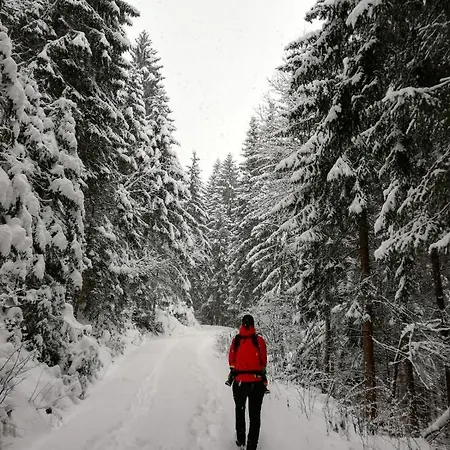 Mountain Alpine Kappl (Landeck)