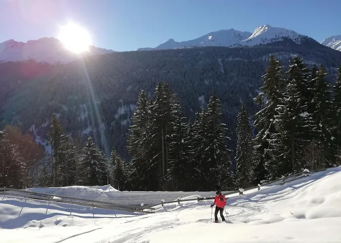 Lejlighed Mountain Alpine