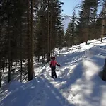 Mountain Alpine Appartement