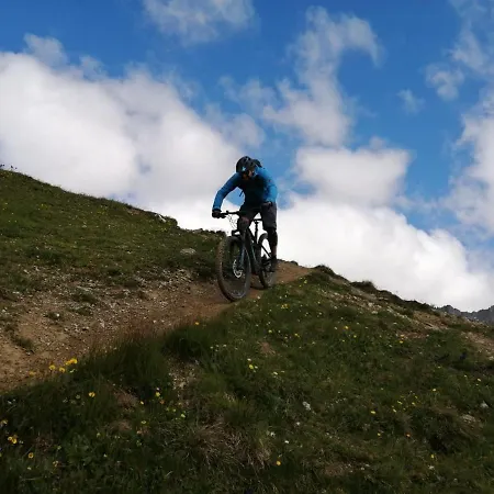 Апартаменты Mountain Alpine *