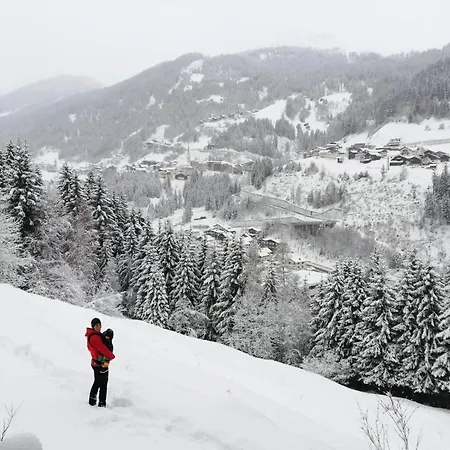 Mountain Alpine Lejlighed