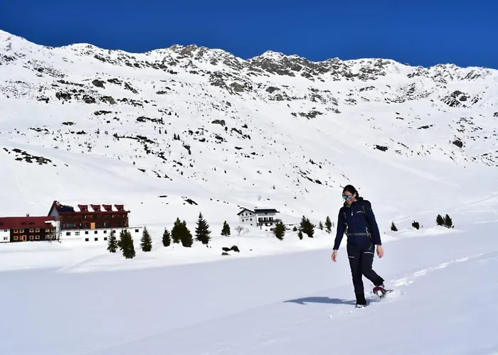 Mountain Alpine Daire *