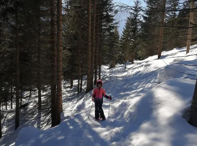 Mountain Alpine Daire