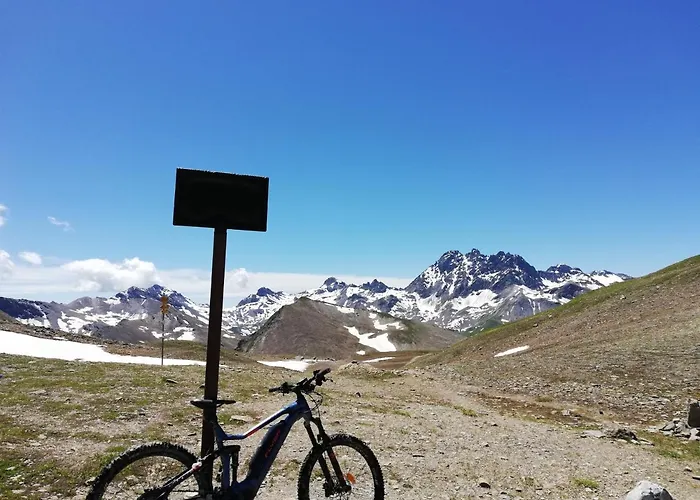 Mountain Alpine Daire *