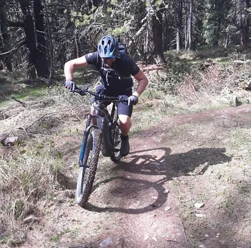 Apartment Mountain Alpine