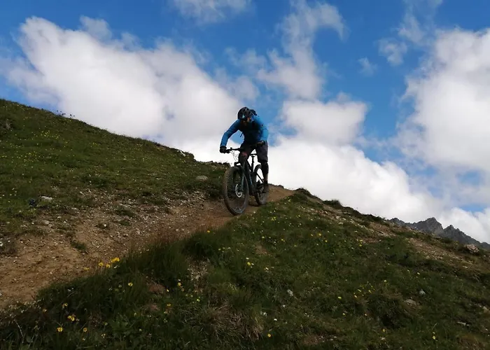 Daire Mountain Alpine *