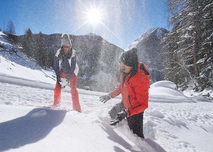 Apartment Mountain Alpine *