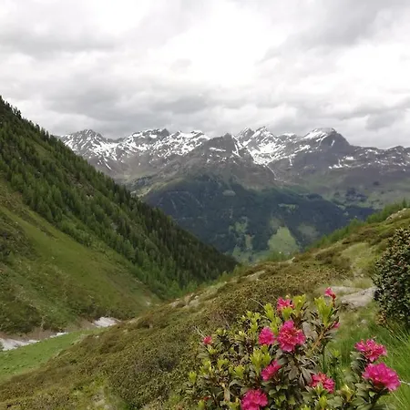 Mountain Alpine 公寓 卡普尔