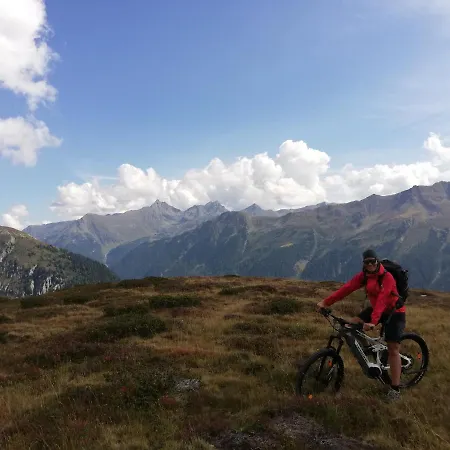 Mountain Alpine